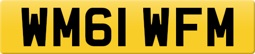 WM61WFM